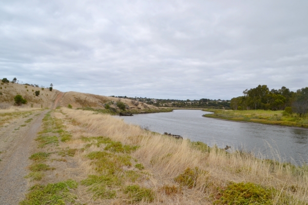Zdjęcie z Australii - Wzdłuż brzegów Okaparinga River