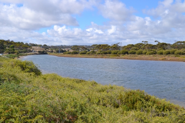 Zdjęcie z Australii - Wzdłuż brzegów Okaparinga River