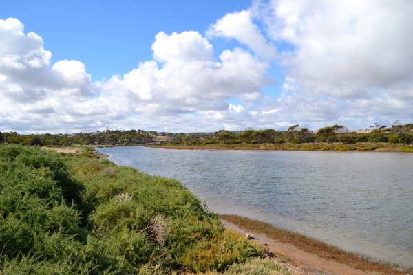 Zdjęcie z Australii - Rzeka Onkaparinga