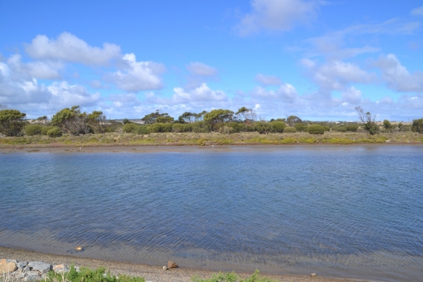 Zdjęcie z Australii - Rzeka Onkaparinga