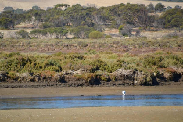 Zdjęcie z Australii - Daleko za rzeka widac kangurze suche pastwiska