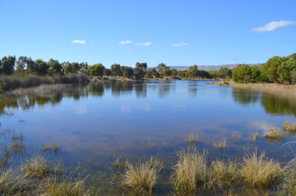 Zdjęcie z Australii - Rozlewiska Aldinga Wetlands
