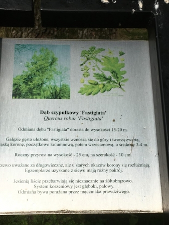 Zdjęcie z Polski - Bystra