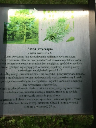 Zdjęcie z Polski - 