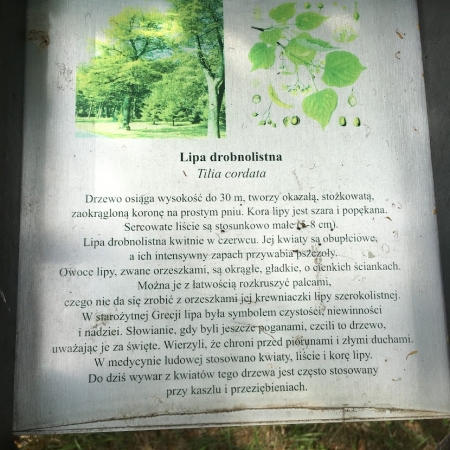 Zdjęcie z Polski - 