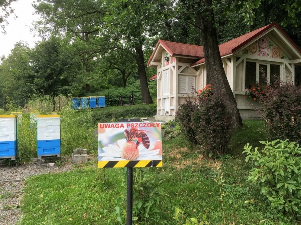Zdjęcie z Polski - Bystra