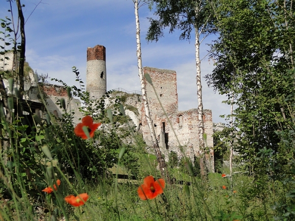 Zdjęcie z Polski - I jeszcze malownicze ruiny zamku w Olsztynie k/Częstochowy