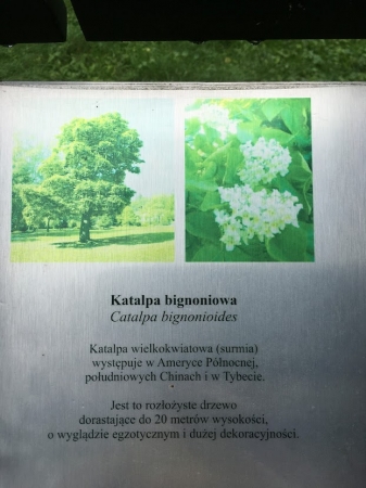Zdjęcie z Polski - Bystra