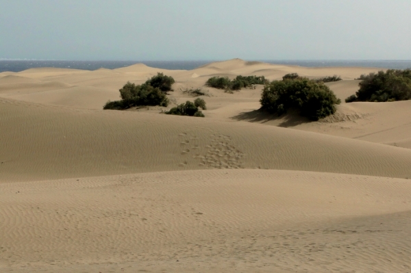 Zdjęcie z Hiszpanii - Wracamy do Playa del Ingles tą samą drogą, czyli promenadą.