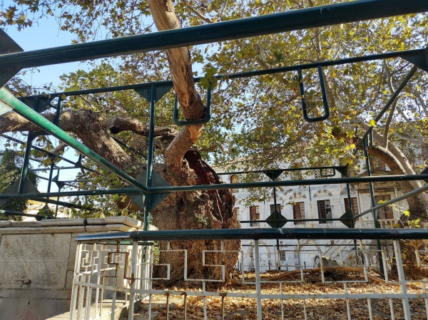 Zdjęcie z Grecji - 
