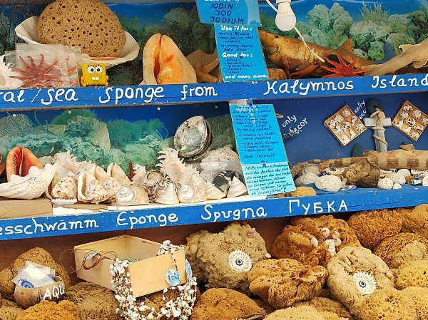 Zdjęcie z Grecji - 