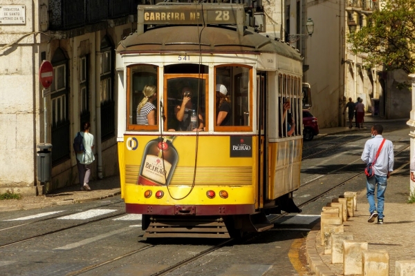 Zdjęcie z Portugalii - doprawdy ciężko się im oprzeć i przestać focić 😄