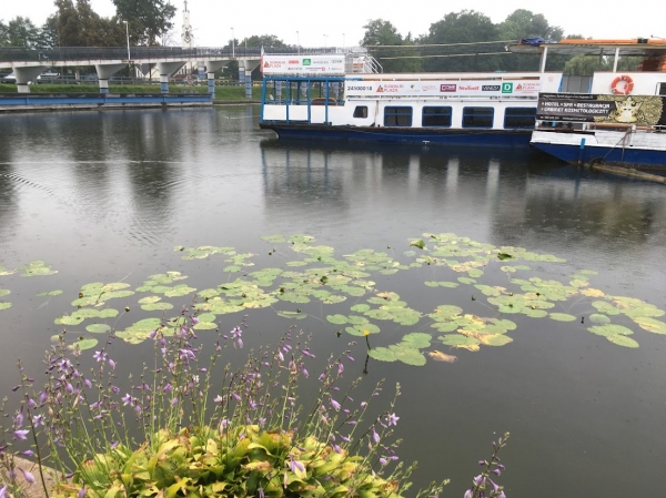 Zdjęcie z Polski - Augustów
