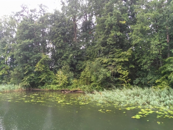 Zdjęcie z Polski - Augustów