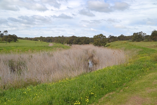 Zdjęcie z Australii - Strumien Pedler Creek