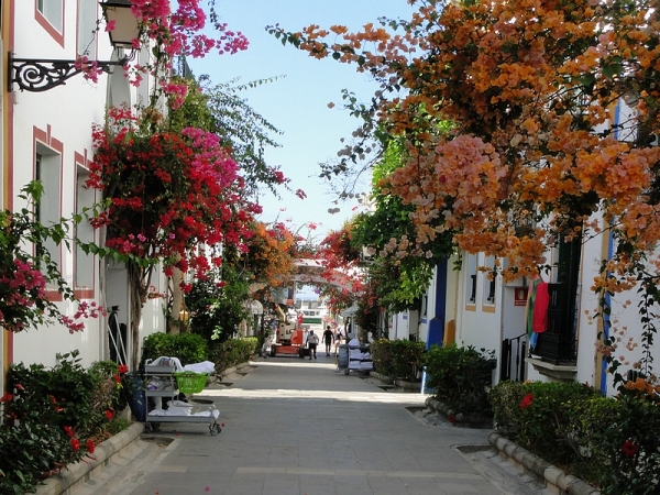 Zdjęcie z Hiszpanii - Żegnamy Puerto de Mogan.