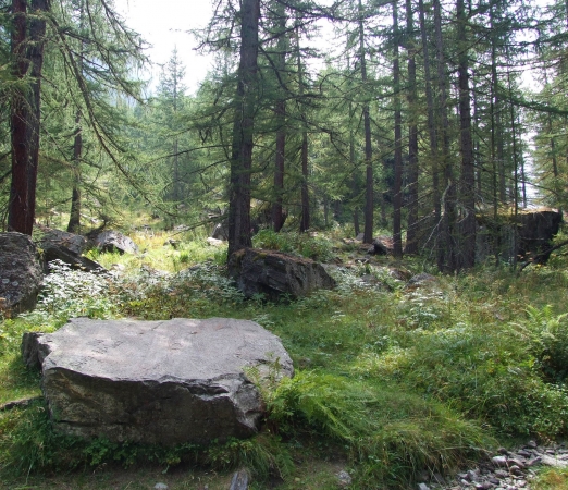 Zdjęcie z Włoch - nieśmiało