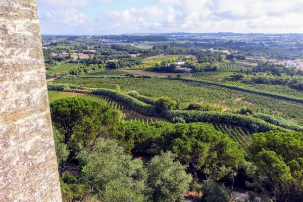 Zdjęcie z Portugalii - z jednej strony view na winnice...