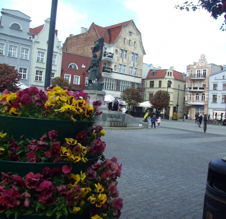 Zdjęcie z Polski - rynek