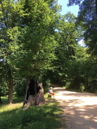 Zdjęcie z Polski - Park Mużakowski