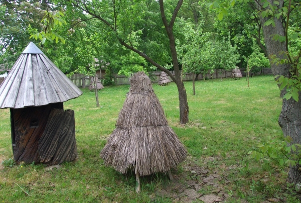 Zdjęcie z Polski - pasieka