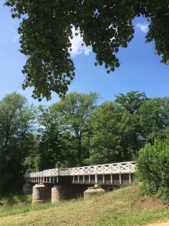 Zdjęcie z Polski - Park Mużakowski