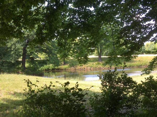Zdjęcie z Polski - Park Mużakowski