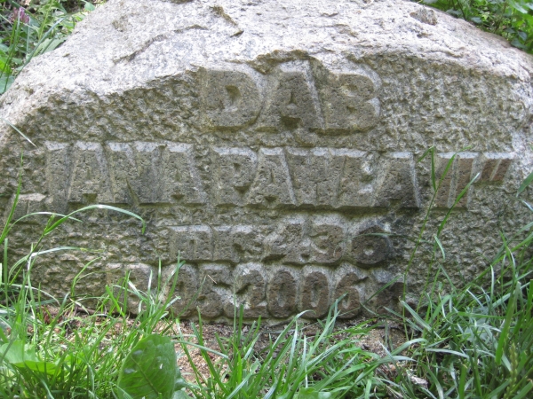 Zdjęcie z Polski - Park Mużakowski