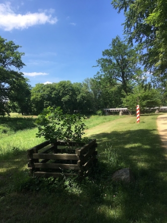 Zdjęcie z Polski - Park Mużakowski