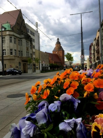 Zdjęcie z Polski - Gorzów Wielkopolski