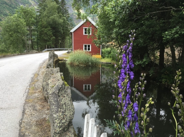 Zdjęcie z Norwegii - Flam