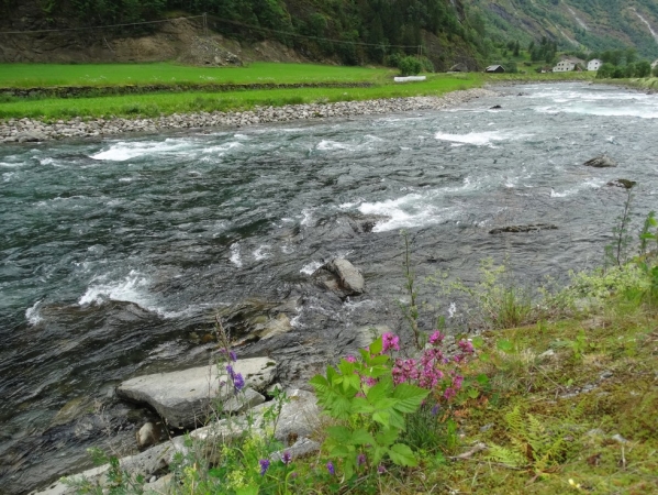 Zdjęcie z Norwegii - Flam