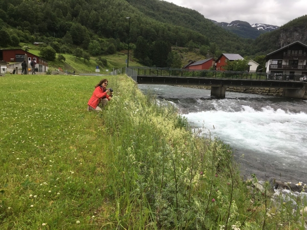 Zdjęcie z Norwegii - Flam