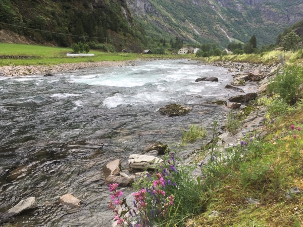 Zdjęcie z Norwegii - Flam