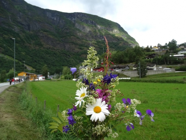 Zdjęcie z Norwegii - Flam