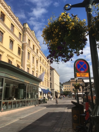 Zdjęcie ze Szwecji - Linkoping