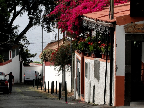 Zdjęcie z Portugalii - Dzień w Funchal.