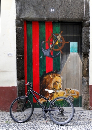 Zdjęcie z Portugalii - Dzień w Funchal.