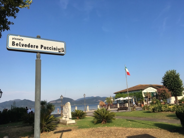 Zdjęcie z Włoch - Torre del Lago