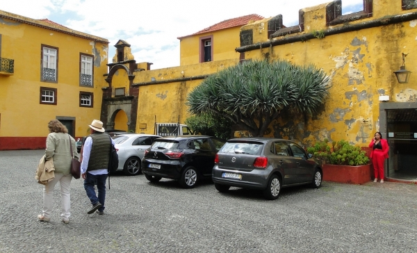 Zdjęcie z Portugalii - Dzień w Funchal