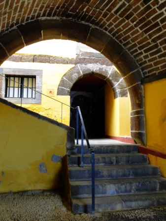 Zdjęcie z Portugalii - Dzień w Funchal