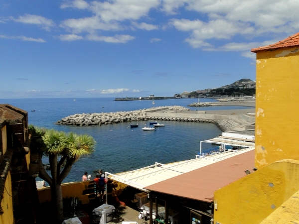 Zdjęcie z Portugalii - Dzień w Funchal