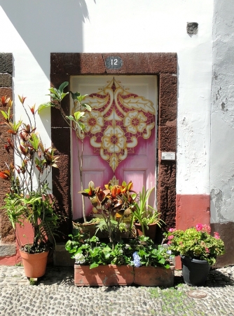 Zdjęcie z Portugalii - Dzień w Funchal