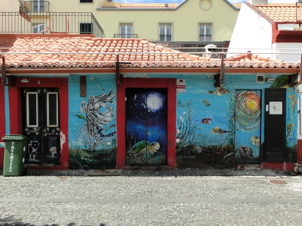 Zdjęcie z Portugalii - Dzień w Funchal