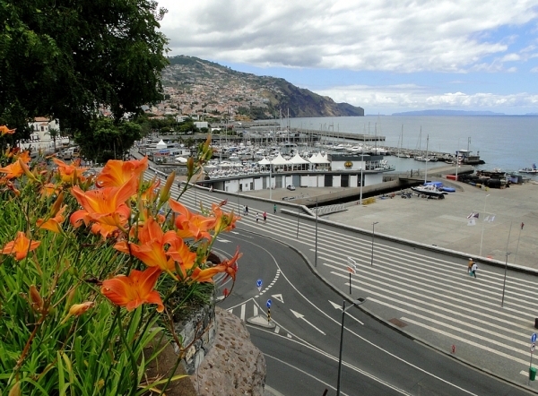 Zdjęcie z Portugalii - Dzień w Funchal