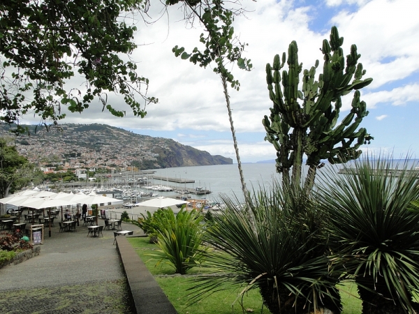 Zdjęcie z Portugalii - Dzień w Funchal
