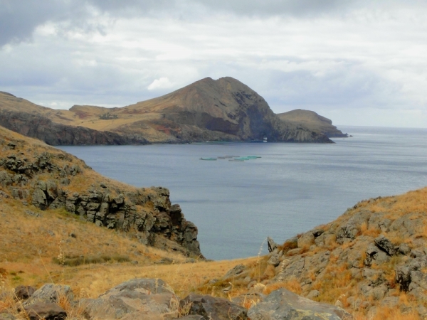 Zdjęcie z Portugalii - Ponta de São Lourenço