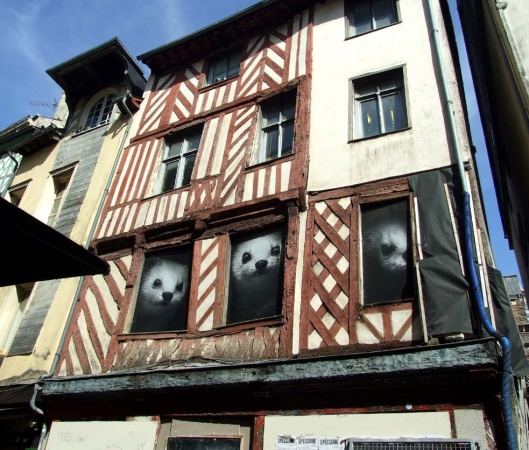 Zdjęcie z Francji - remontowany dom