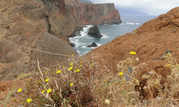 Zdjęcie z Portugalii - Ponta de São Lourenço