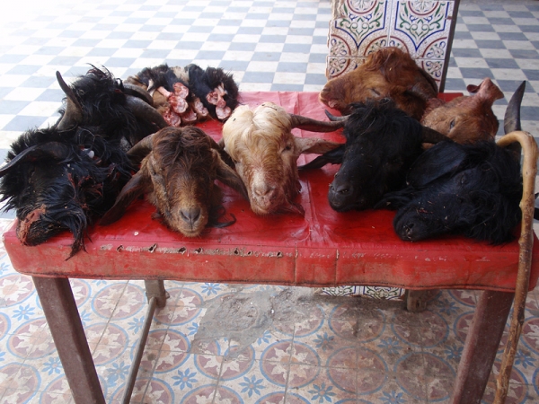 Zdjęcie z Maroka - Sklep mięsny